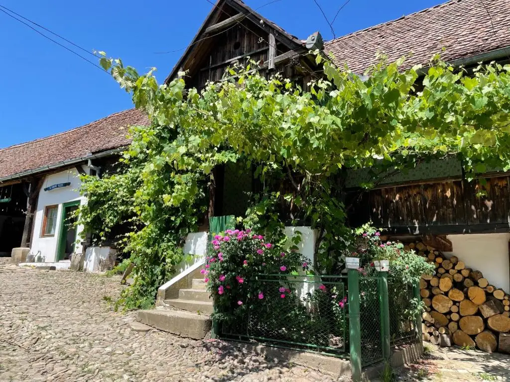 The 1928 Saxon farmhouse with its facade covered in grapevines, a cobblestone courtyard, stacked firewood and roses by the green fence