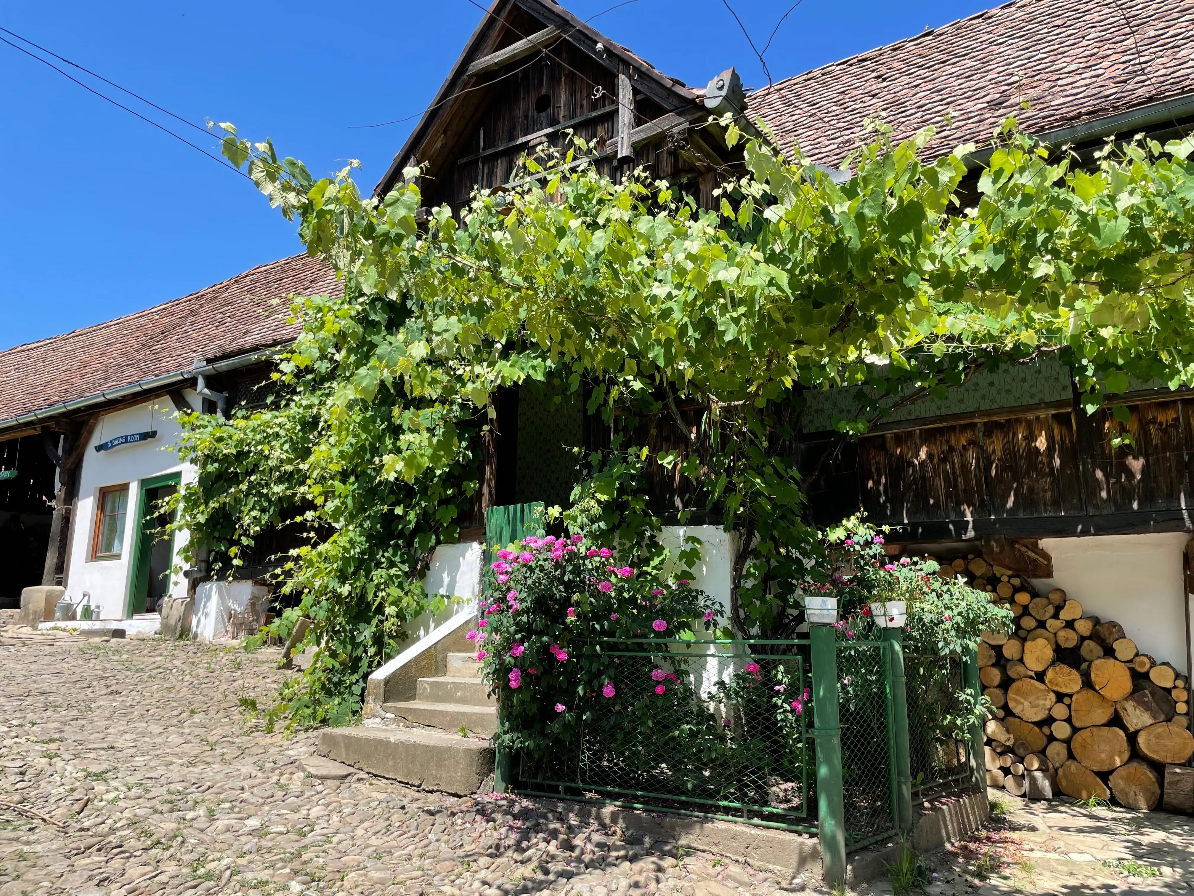 The 1928 Saxon farmhouse with its facade covered in grapevines, a cobblestone courtyard, stacked firewood and roses by the green fence