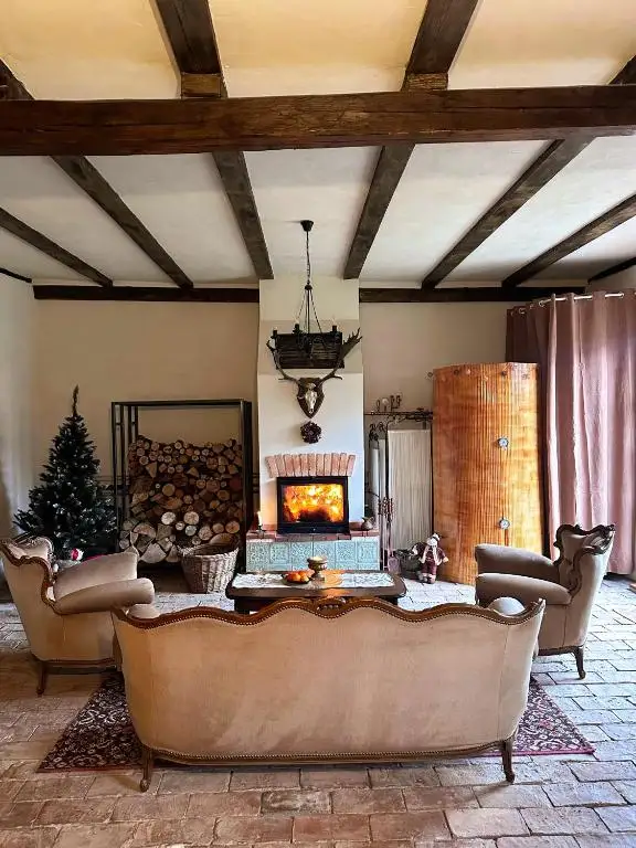 Living room in winter with a fire burning in the fireplace and a decorated Christmas tree beside the log store