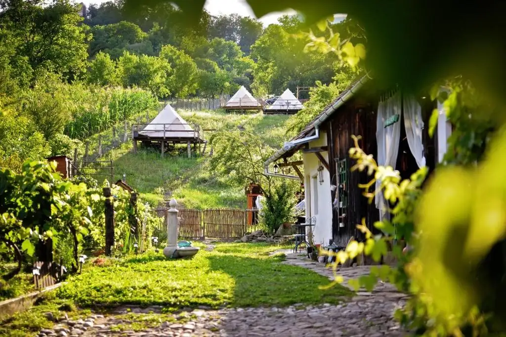 Golden-hour view across the garden of Saschiz 130: a stone fountain on the lawn, vines in the foreground and white bell tents on the terraced hillside behind the house